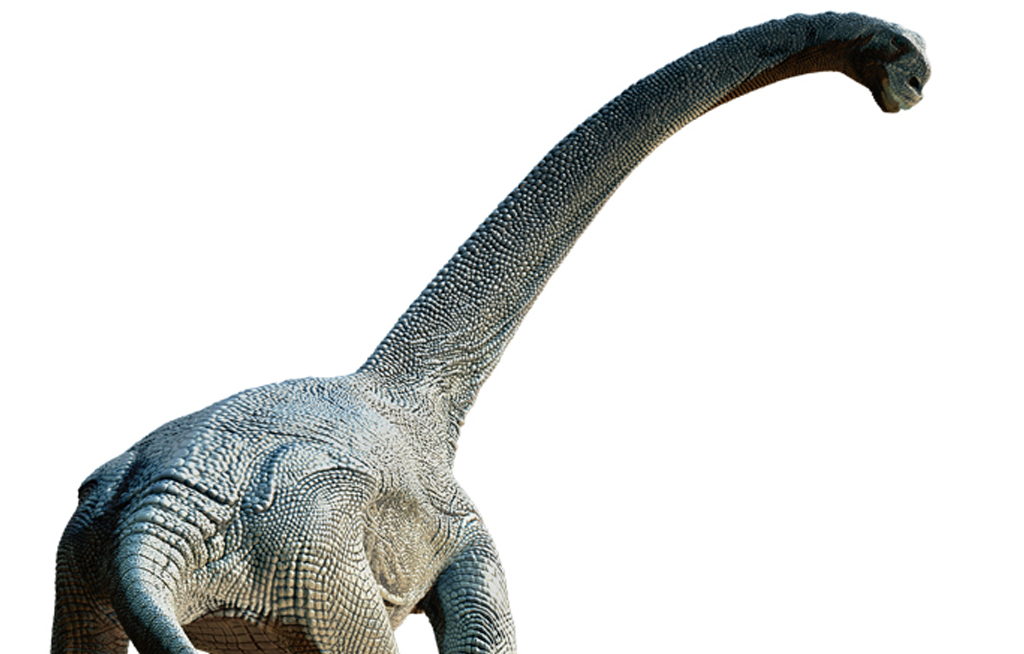 long neck dinosaur with spikes on back